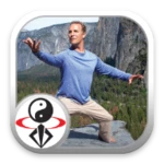 qi gong for energy & vitality android application logo